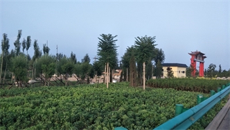 標(biāo)題：張家口經(jīng)開區(qū)腰站堡飲用水源地生態(tài)涵養(yǎng)綠化
瀏覽次數(shù)：2512
發(fā)表時(shí)間：2020-10-16