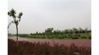標(biāo)題：大青山南坡生態(tài)修復(fù)
瀏覽次數(shù)：2100
發(fā)表時(shí)間：2020-10-16