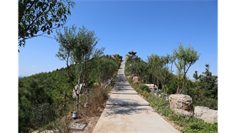 標(biāo)題：張家口太子山山體修復(fù)
瀏覽次數(shù)：18316
發(fā)表時(shí)間：2020-11-12